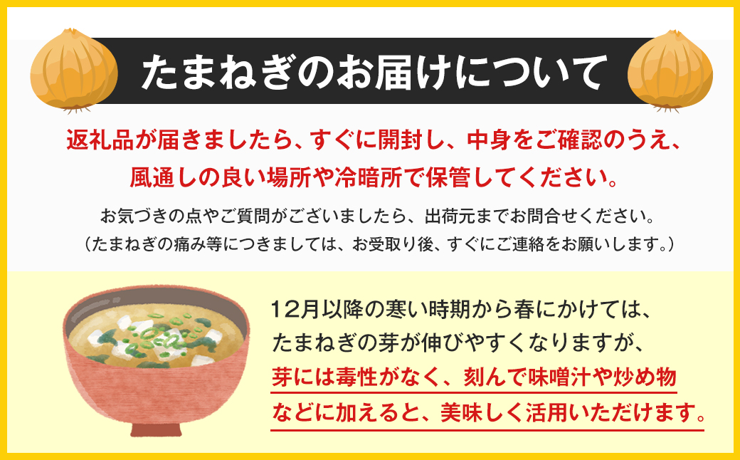 【新たまねぎ】淡路島たまねぎ 大きな2Lサイズ 5kg【発送時