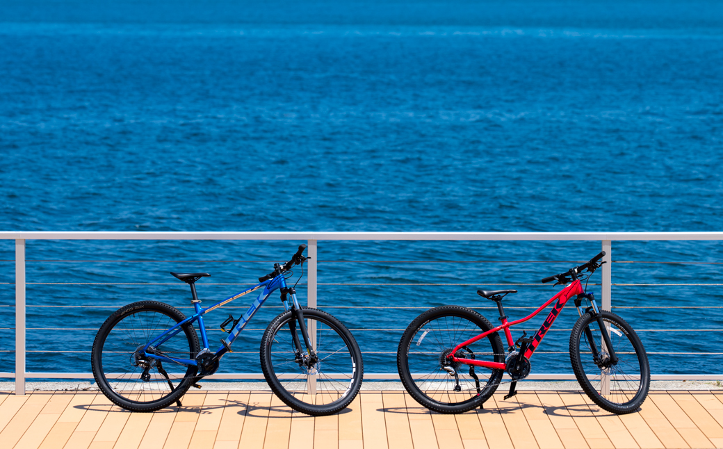 アクアイグニス淡路島 共通ご利用券（3万円分） 宿泊 温泉 