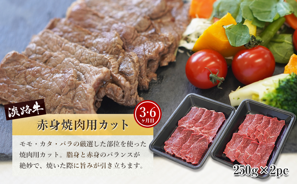 【定期便6ヶ月】淡路牛 赤身肉の定期便（赤身ミニステーキ