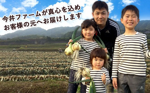 【新たまねぎ】【訳アリ】今井ファームの淡路島たまねぎ 5