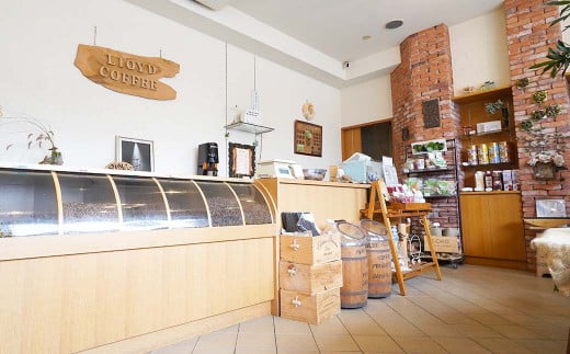 ロイドコーヒースペシャルブレンド（粉・ドリップパック