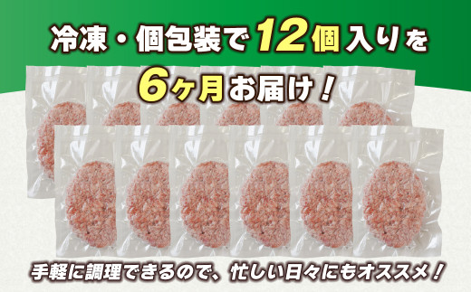 【定期便6ヶ月】淡路島 極味ハンバーグ 150g×12個　　[牛肉10