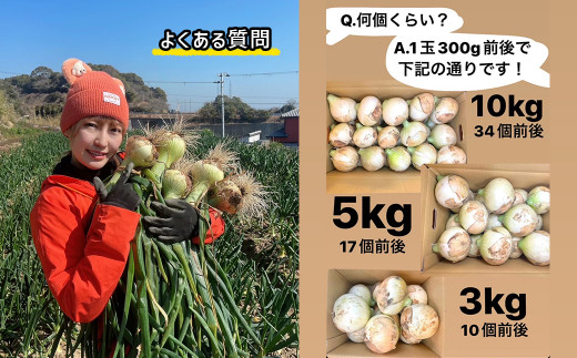 まるでフルーツ？！淡路島産ブランド新玉ねぎ 極早生 「に