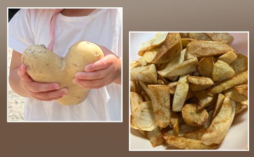 淡路島産じゃがいもセット 5kg【栽培期間中、無農薬栽培】