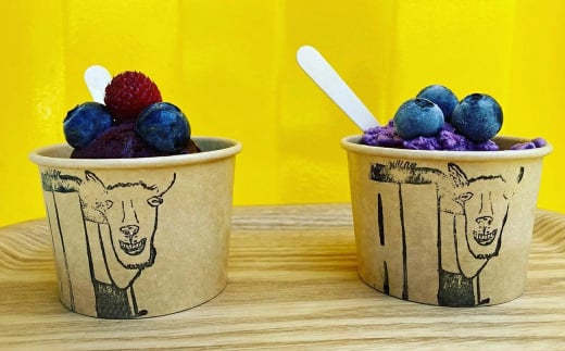 【淡路島産】大粒ブルーベリー 700g 冷凍生果《栽培期間中