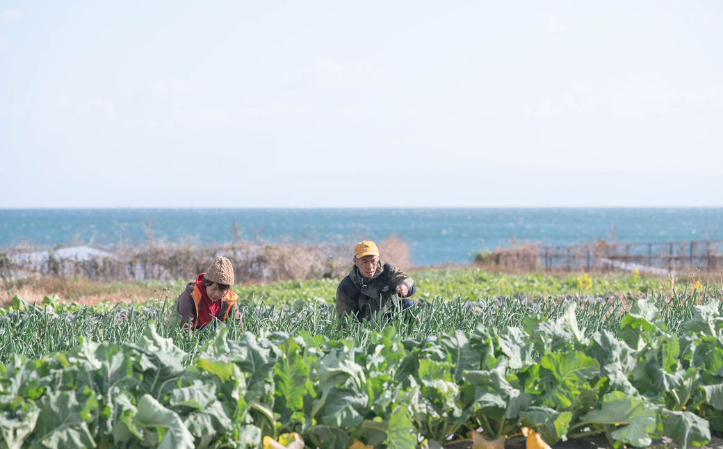 【淡路島のあま～い新玉ねぎ】淡路島ファーム太陽と海 か