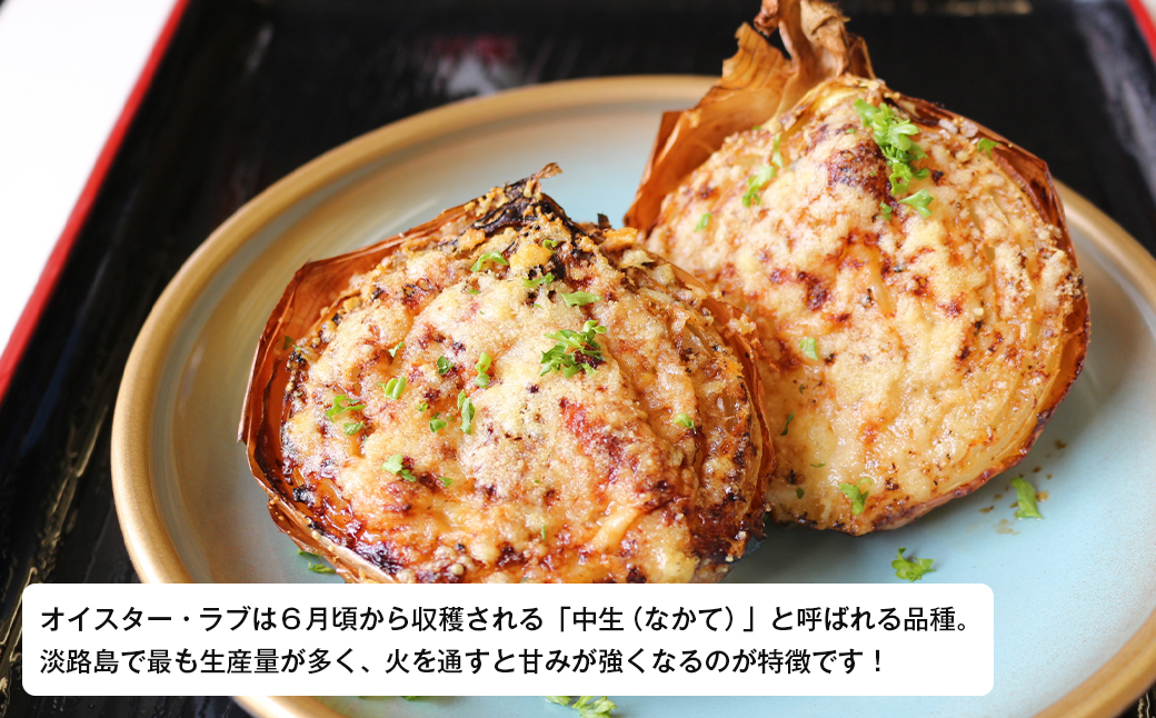 淡路島産玉ねぎオイスターラブ 10kg箱　たまねぎ