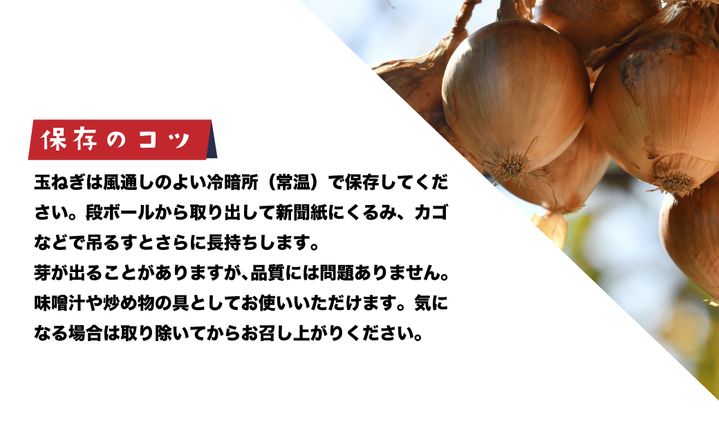 健幸農園の完熟淡路島産玉ねぎ 5kg　　[たまねぎ 産地直送 