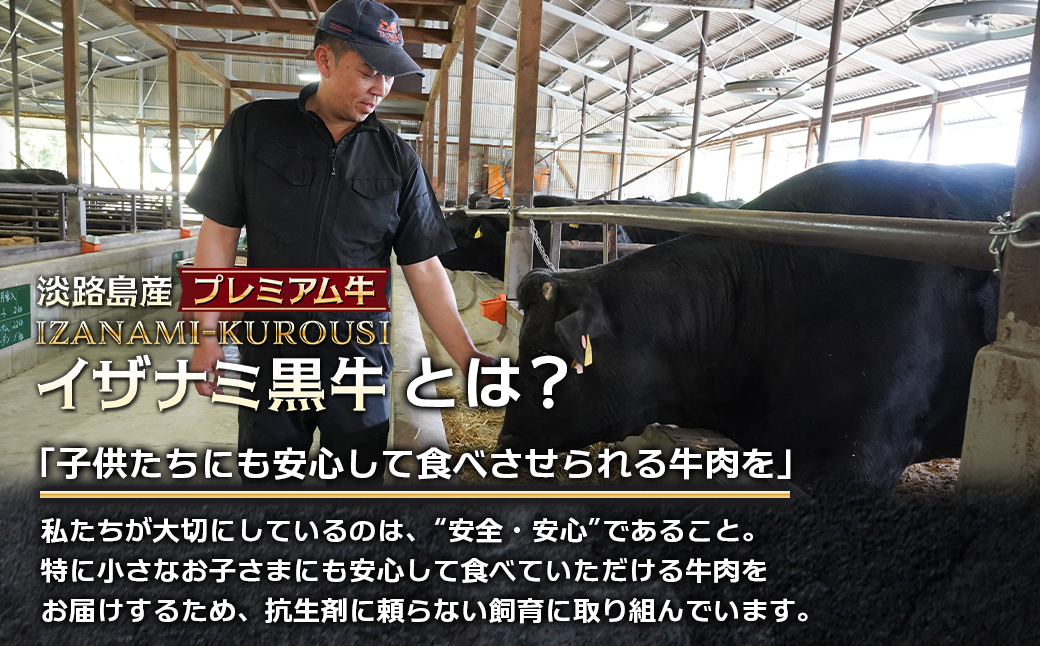 淡路島産プレミアム牛 イザナミ黒牛ホルモンミックス 1kg（