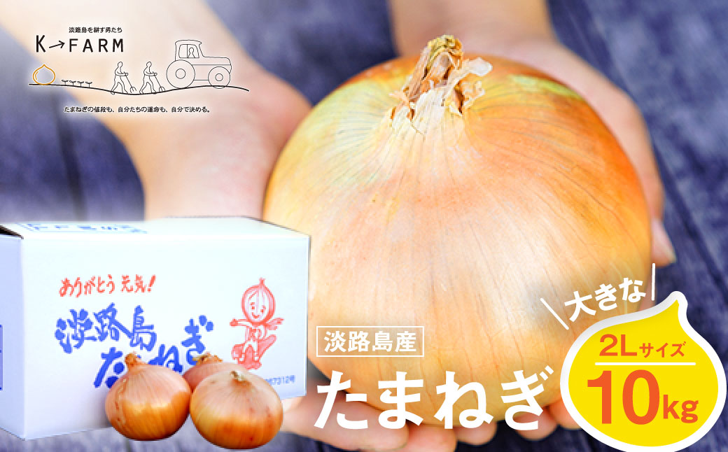 淡路島たまねぎ 大きな2Lサイズ10kg　　[玉ねぎ 産地直送 玉