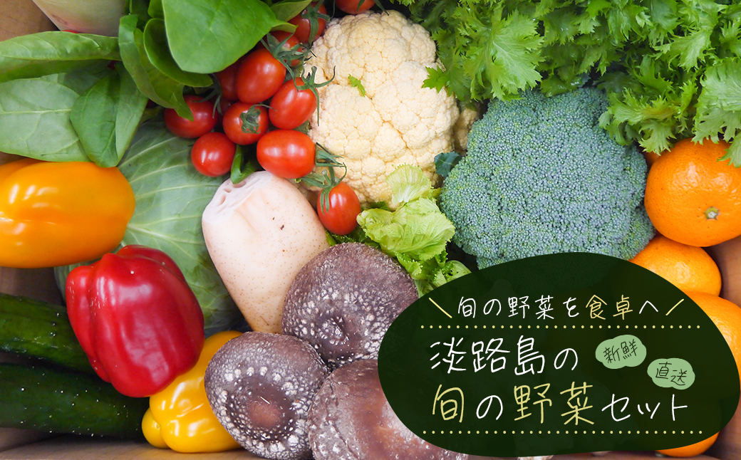 淡路島の旬の野菜セット（10～15種類程度）　　[野菜詰め合