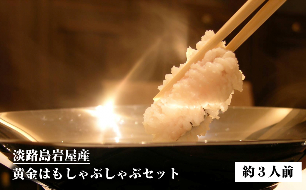 淡路島岩屋産黄金はもしゃぶしゃぶセット(約3人前) 【お届