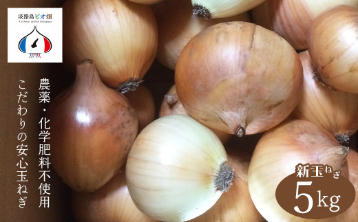 農薬・化学肥料不使用　こだわりの固定種新玉ねぎ【発送