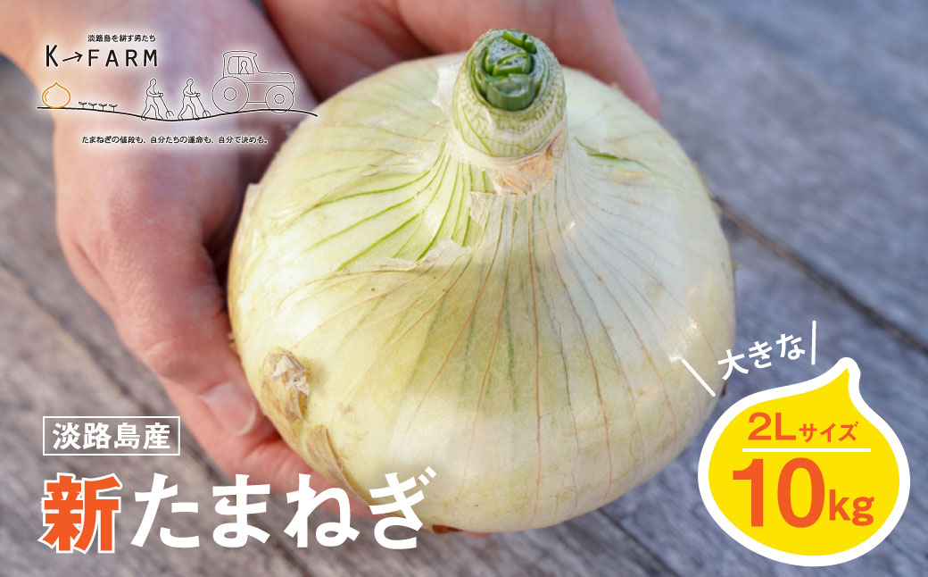 【新たまねぎ】淡路島たまねぎ 大きな2Lサイズ10kg【発送時