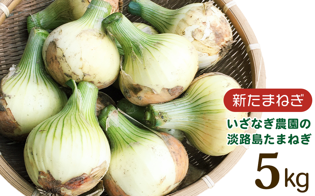 【新たまねぎ】いざなぎ農園の淡路島たまねぎ 5kg【発送時