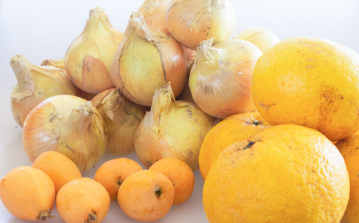 【新たまねぎ】淡路島産たまねぎ5kgと旬の果物少々セット