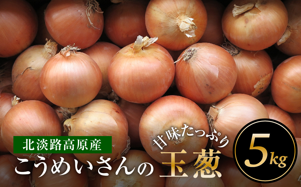 こうめいさんの玉葱5kg