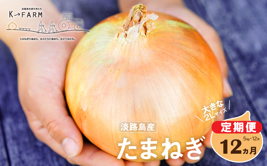 【定期便12ヶ月】淡路島たまねぎ 大きな2Lサイズ 5kg　　[玉