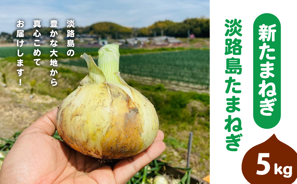 【新たまねぎ】淡路島たまねぎ(5キロ)【発送時期：2026年5月