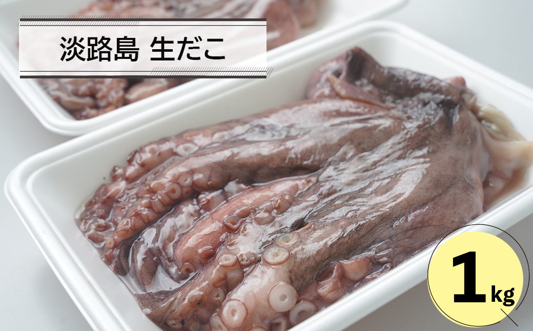 淡路島　生だこ1キロ