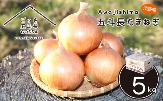五斗長たまねぎ 5kg　　[玉ねぎ 淡路島 玉葱]