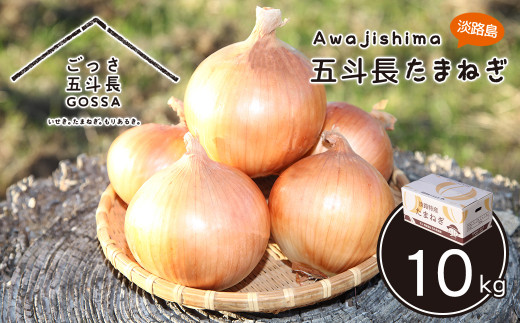 五斗長たまねぎ 10kg　　[玉ねぎ 淡路島 玉葱]