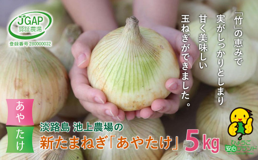 【新たまねぎ】淡路島 池上農場の「あやたけ」5kg【発送時