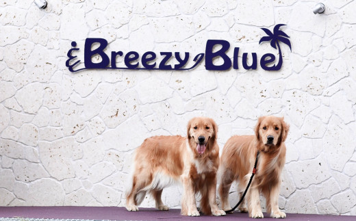 貸別荘BreezyBlue淡路島 ご利用券【10月～3月宿泊限定】（10,000