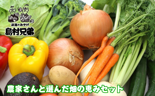 農家さんと選んだ畑の恵みセット　[野菜セット 野菜詰め合