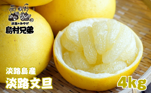 淡路島産　淡路文旦　4ｋｇ