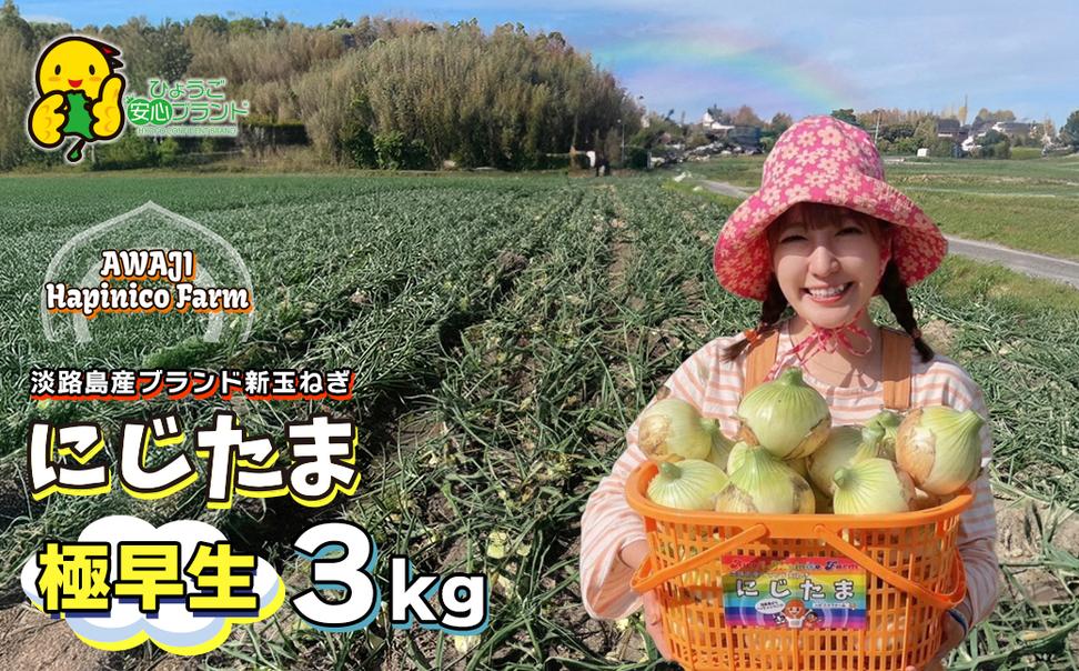 まるでフルーツ？！淡路島産ブランド新玉ねぎ 極早生 「に