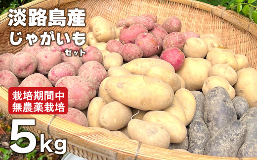 淡路島産じゃがいもセット 5kg【栽培期間中、無農薬栽培】