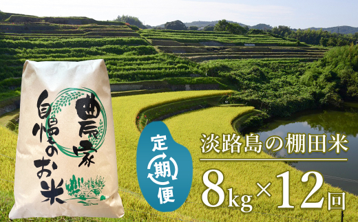【定期便】淡路島の棚田米 ８kg×１２回（毎月発送）　精米