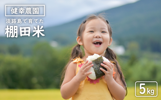 健幸農園の棚田米 5kg 【2025年産新米】　　[精米 白米 お米]