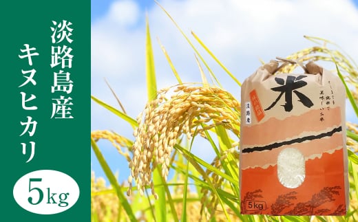 淡路島産　キヌヒカリ　5kg