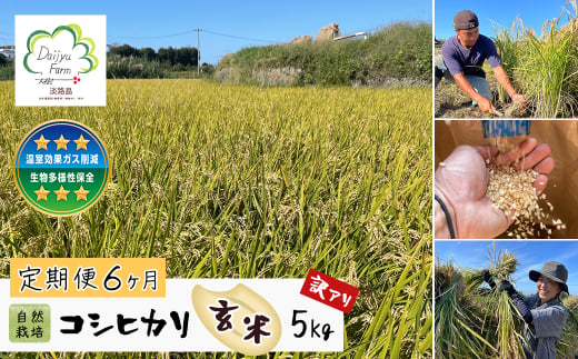 【定期便6ヶ月】自然栽培　コシヒカリ（玄米）　5kg 《無選