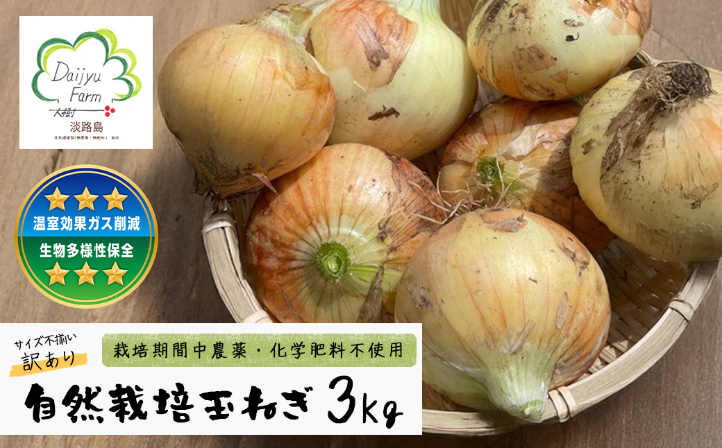 自然栽培玉ねぎ 3kg 《大小様々なサイズのため訳あり》