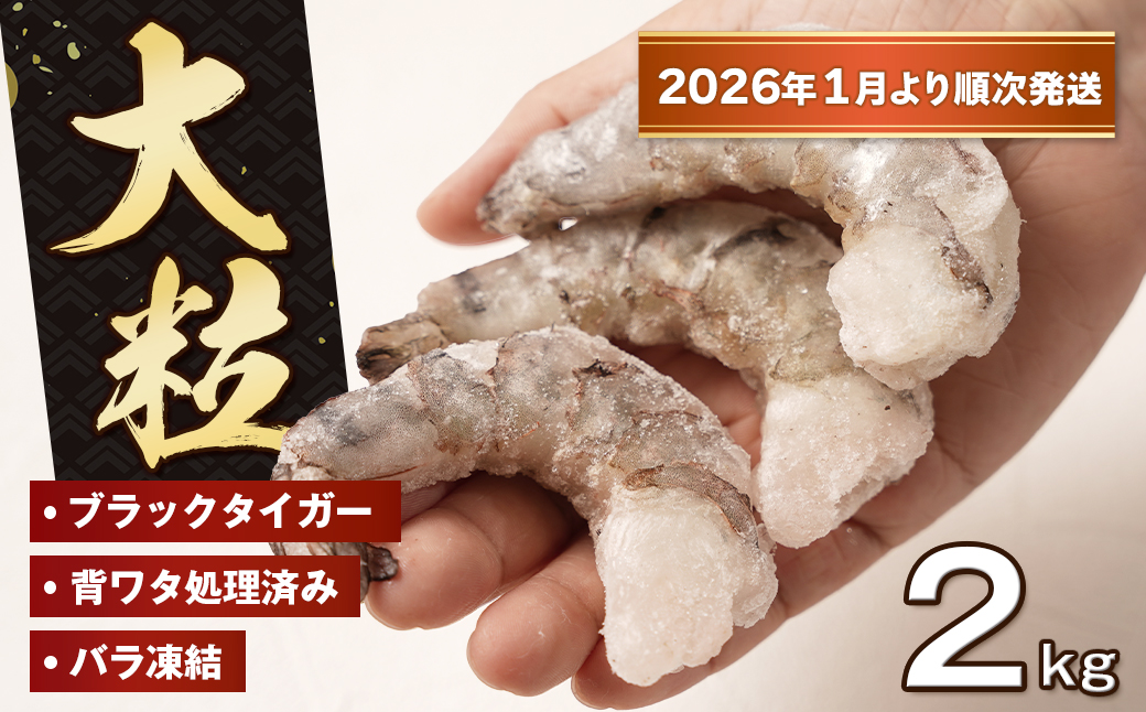 至福の大粒むきえび　背ワタ処理済 2kg（1kg×2袋）【2026年1