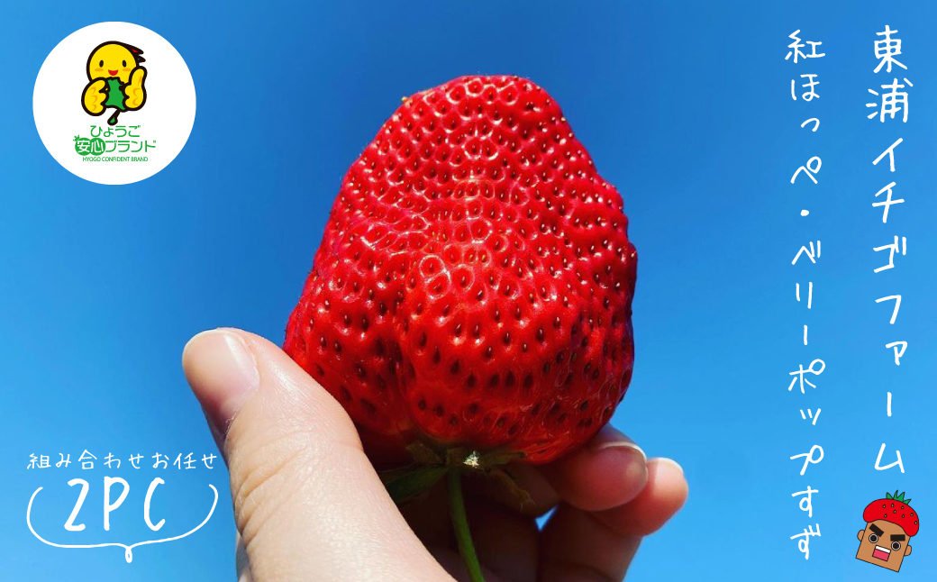 淡路島産いちごセット（紅ほっぺ / ベリーポップすず）【12