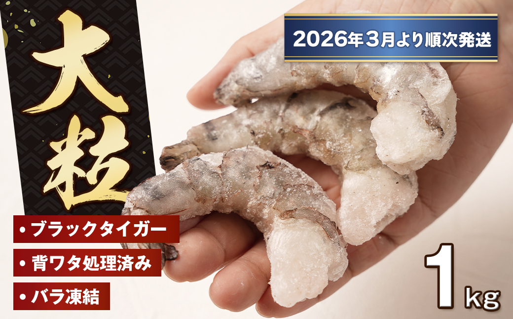 至福の大粒むきえび　背ワタ処理済 1kg【2026年3月より順次