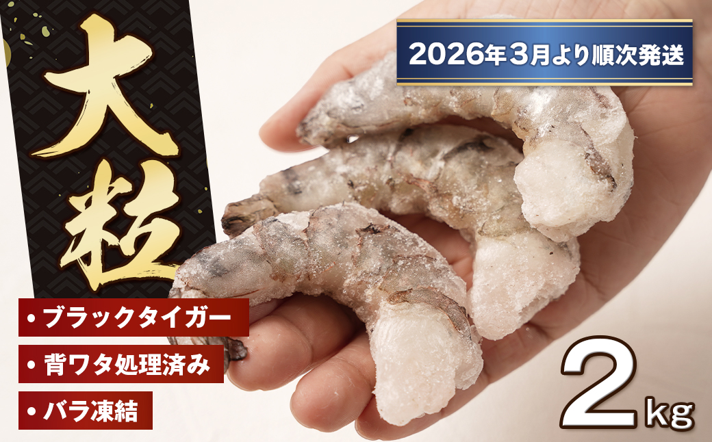 至福の大粒むきえび　背ワタ処理済 2kg（1kg×2袋）【2026年3