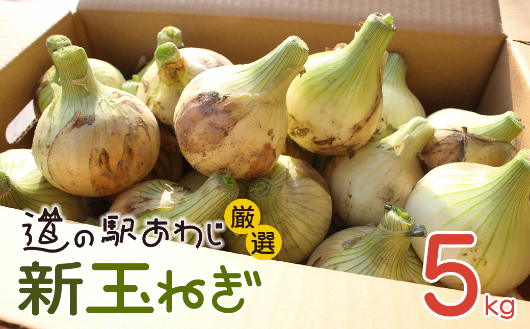 道の駅あわじ厳選新玉ねぎ５kg【発送時期2026年5月頃】