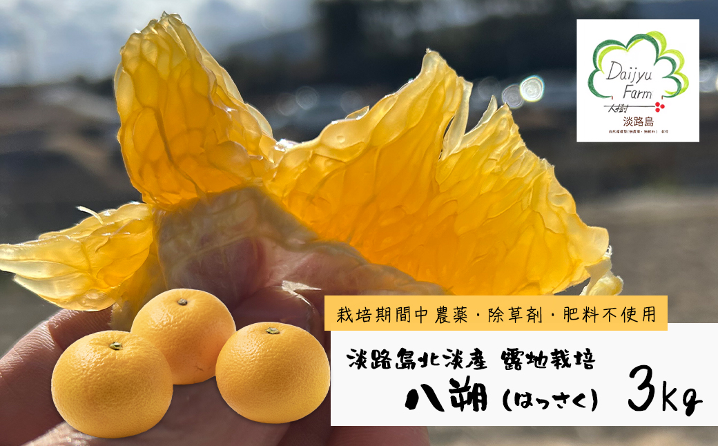 淡路島北淡産 露地栽培八朔（はっさく） -栽培期間中、農