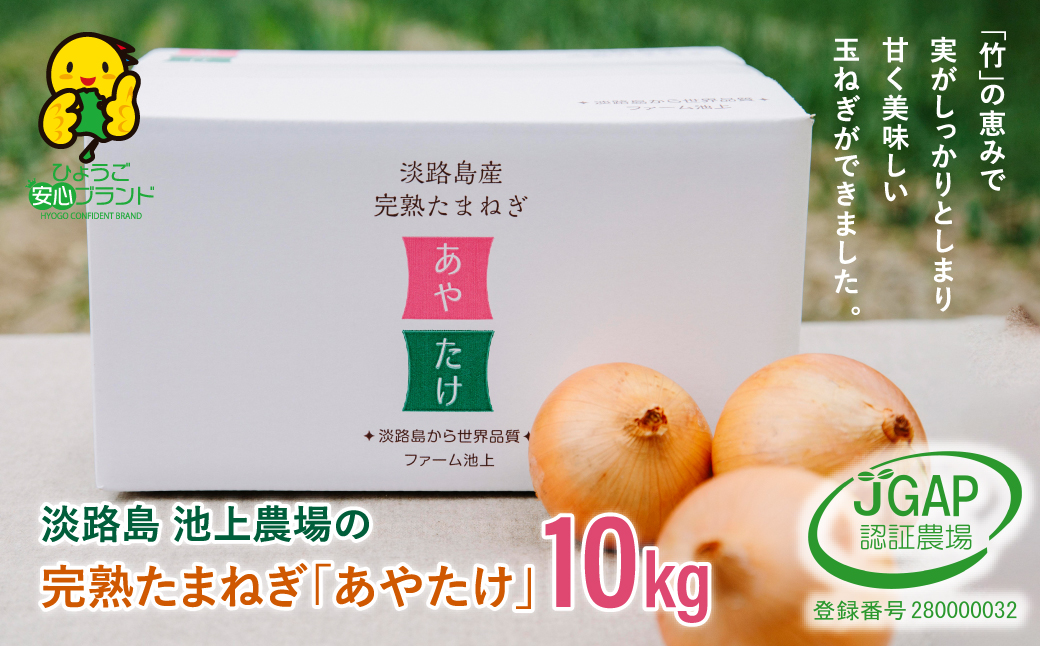 淡路島　池上農場の完熟たまねぎ「あやたけ」10kg　　[玉ね