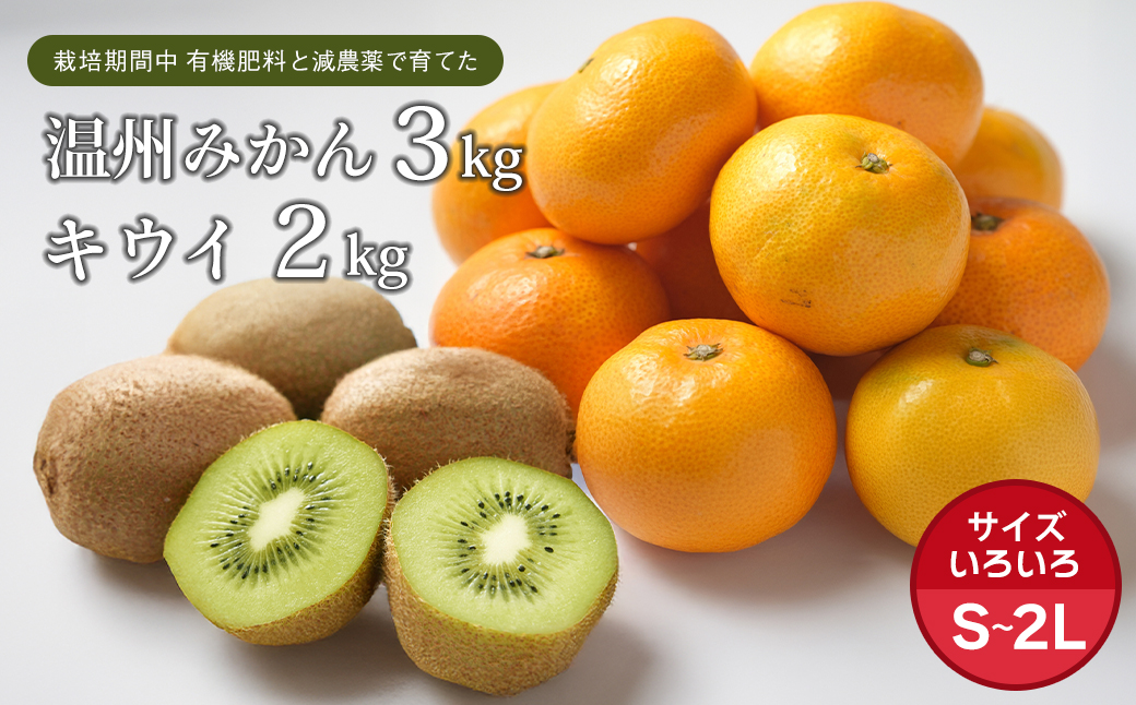片山農園の淡路島みかん(温州みかん)3.0kgとキウイ2.0kg【サ