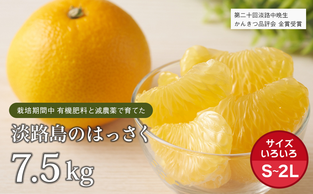 片山農園の淡路島のはっさく7.5kg【サイズいろいろS～2Lサイ