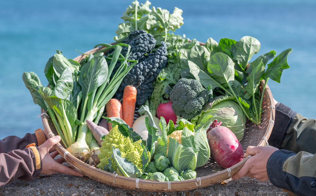【定期便】ご家庭向けお野菜セット～旬のおまかせBOX～春