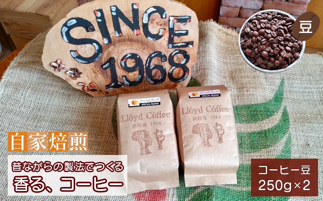 ロイドコーヒースペシャルブレンド（豆）500g（250g×2個）自