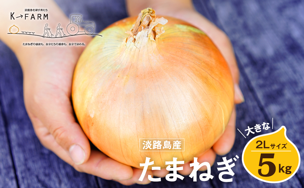 淡路島たまねぎ 大きな2Lサイズ 5kg　　[玉ねぎ 産地直送 玉