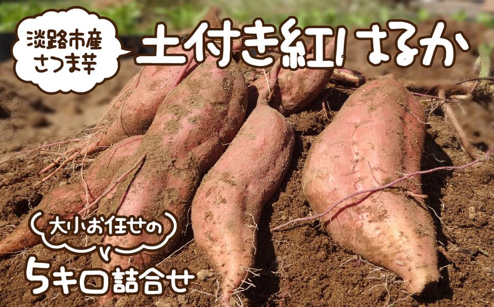 淡路市産さつま芋「土付き紅はるか」大小お任せの5キロ詰